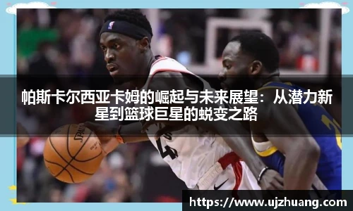 Top1体育官方网址